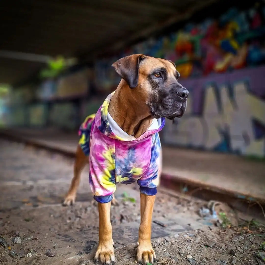 Velvet Dog Hoodie - Berry Lemonade