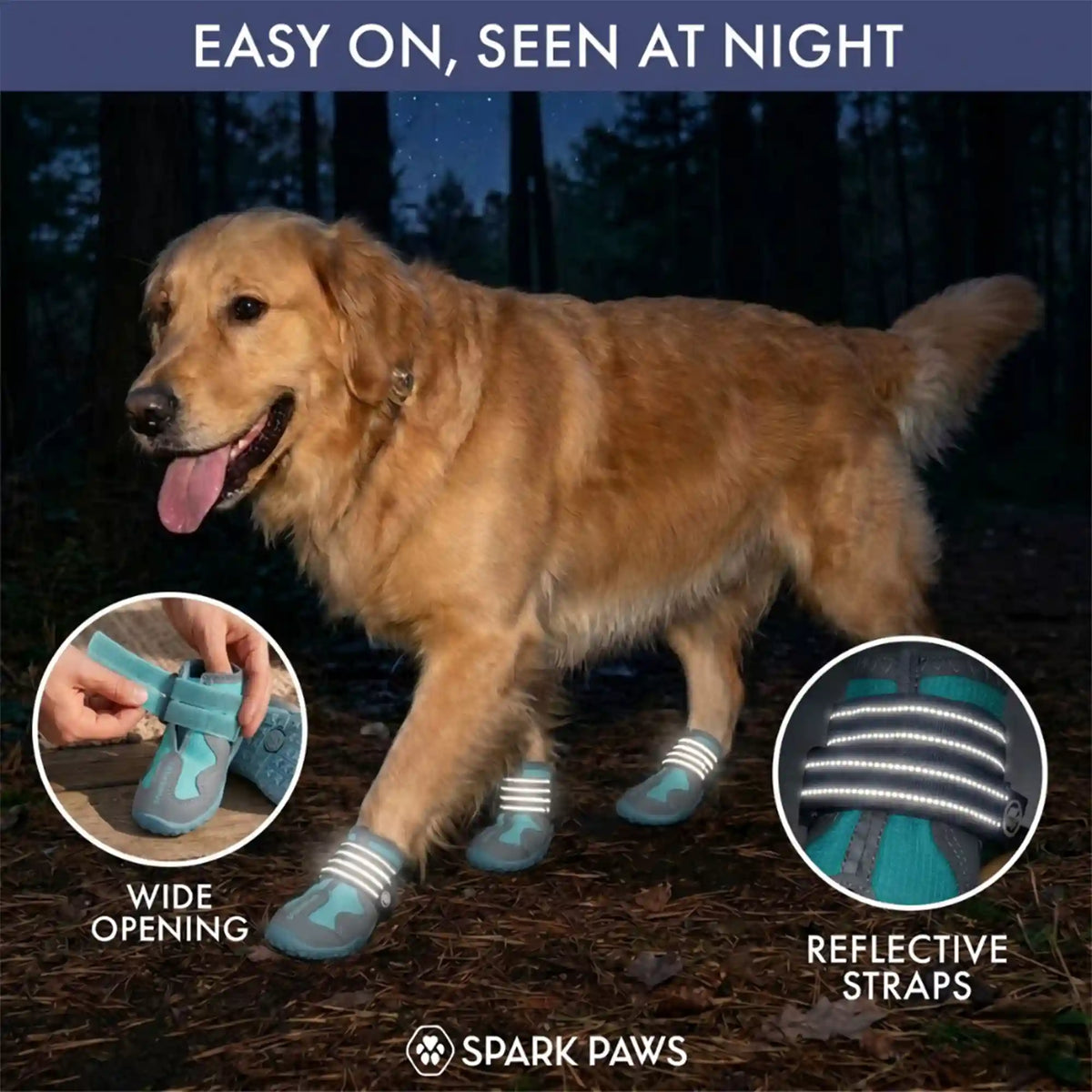 365 All-Season Dog Shoe 4PC Set - Teal