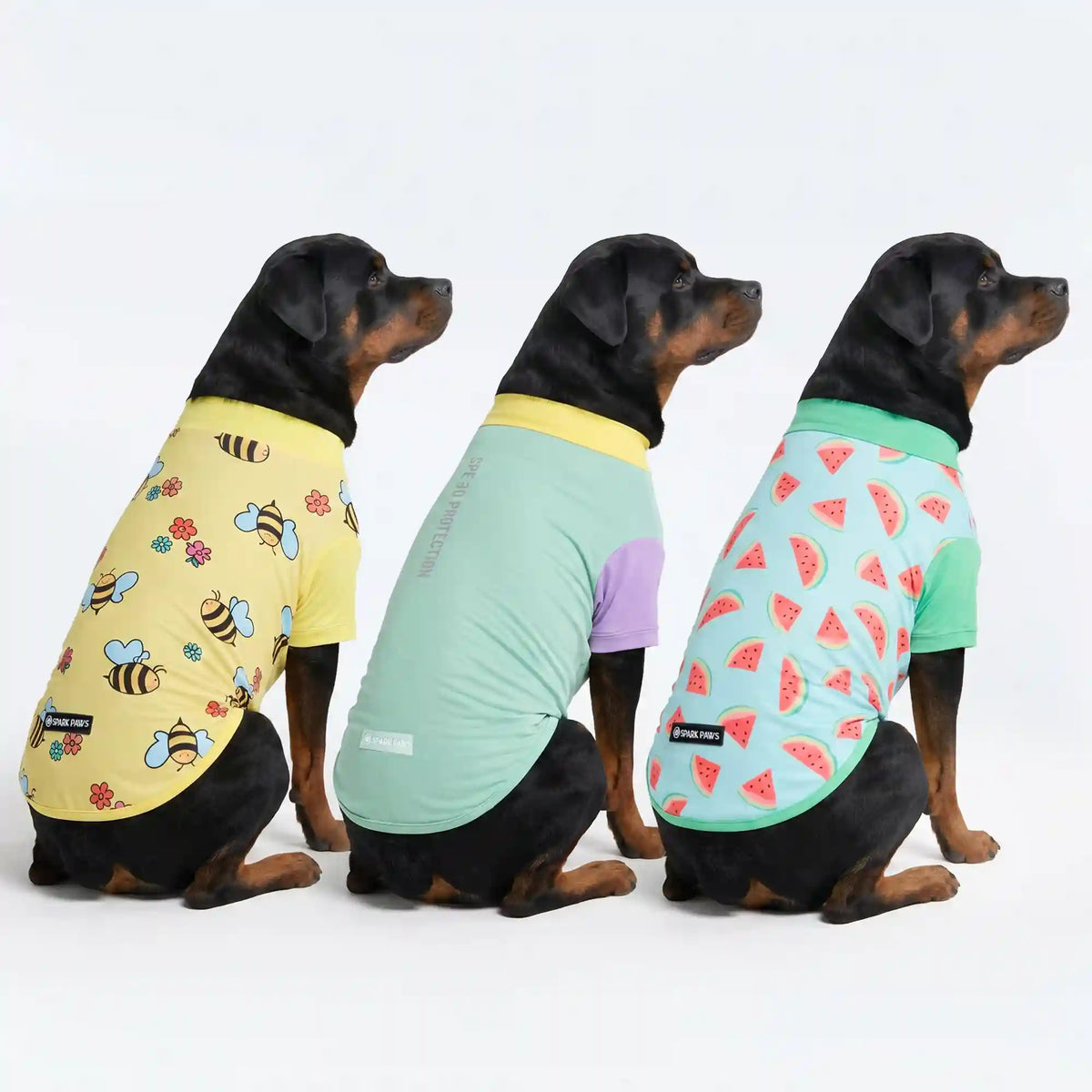 Sunblock Dog T-Shirt (3-pack) - Breeze, Bees, Watermelon