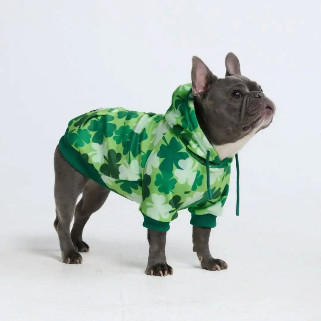 St. Paddy's Dog Hoodies (Limited Edition)