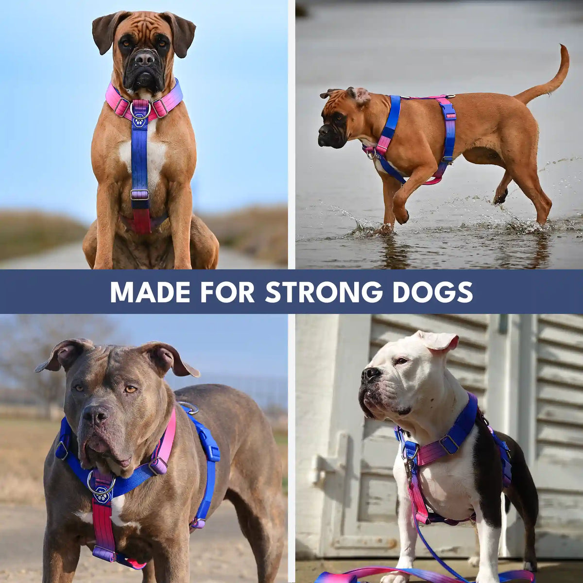 Comfort Control No-Pull Harness Sets