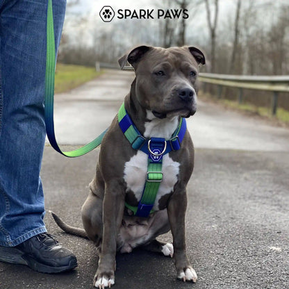 Comfort Control No-Pull Dog Harness - Lime Wave