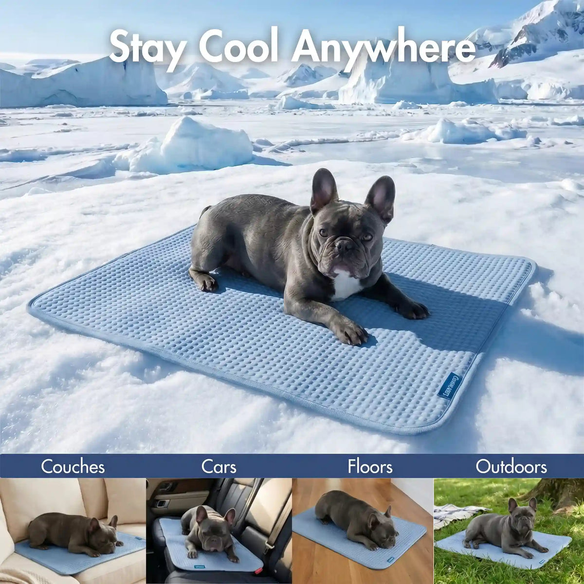 Frostcore™ Cooling Mat 2 Pack