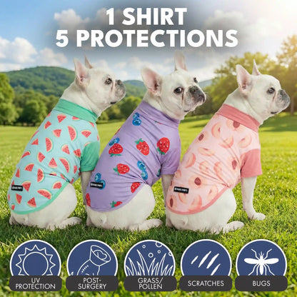 Sunblock Dog T-Shirt (3-pack) - Watermelon, Berries, Peaches