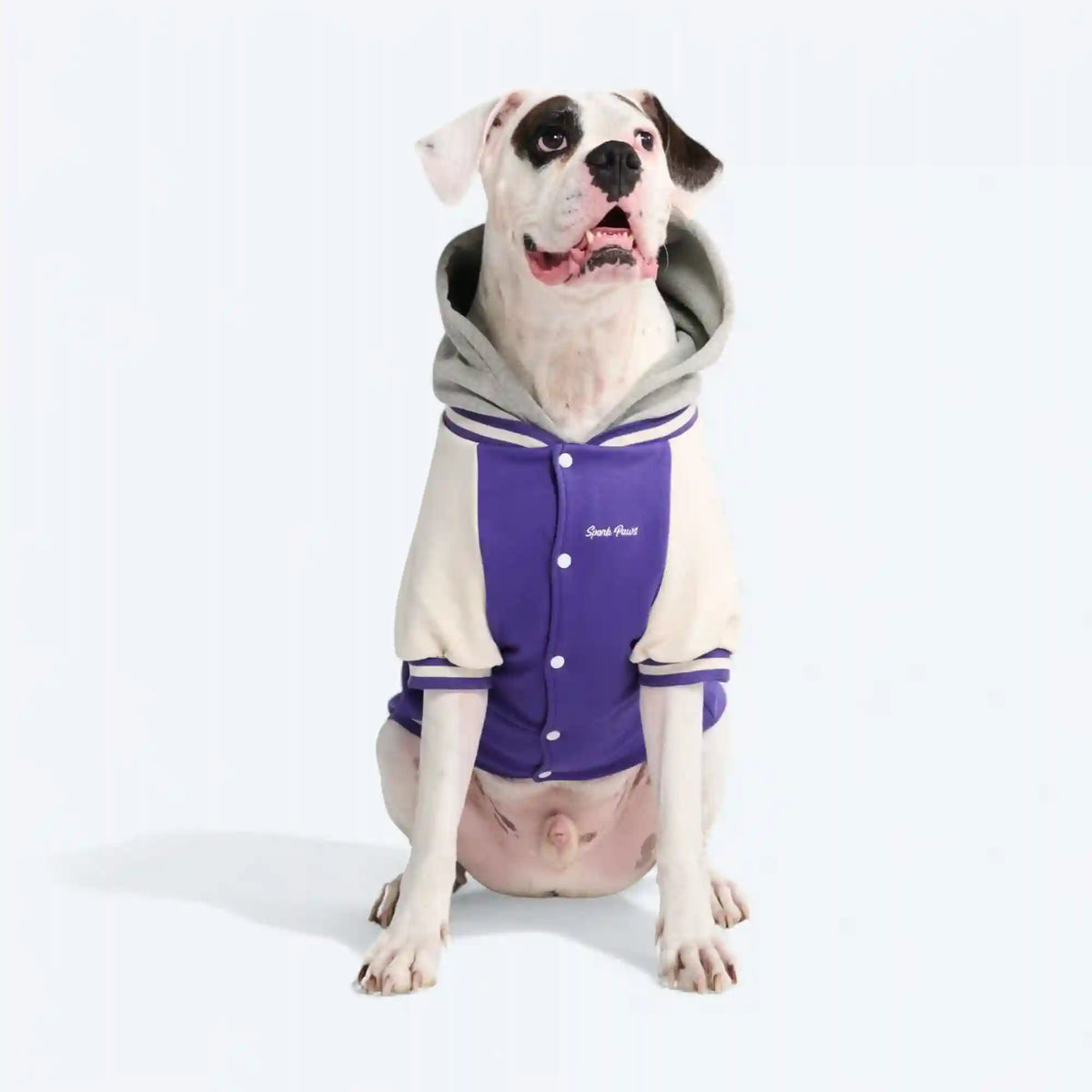 Dog Varsity Jackets
