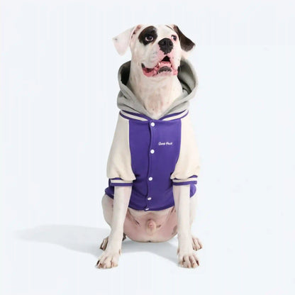 Dog Varsity Jackets