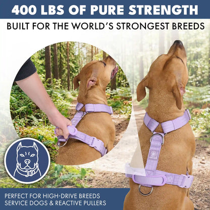 Comfort Control No-Pull Harness Sets