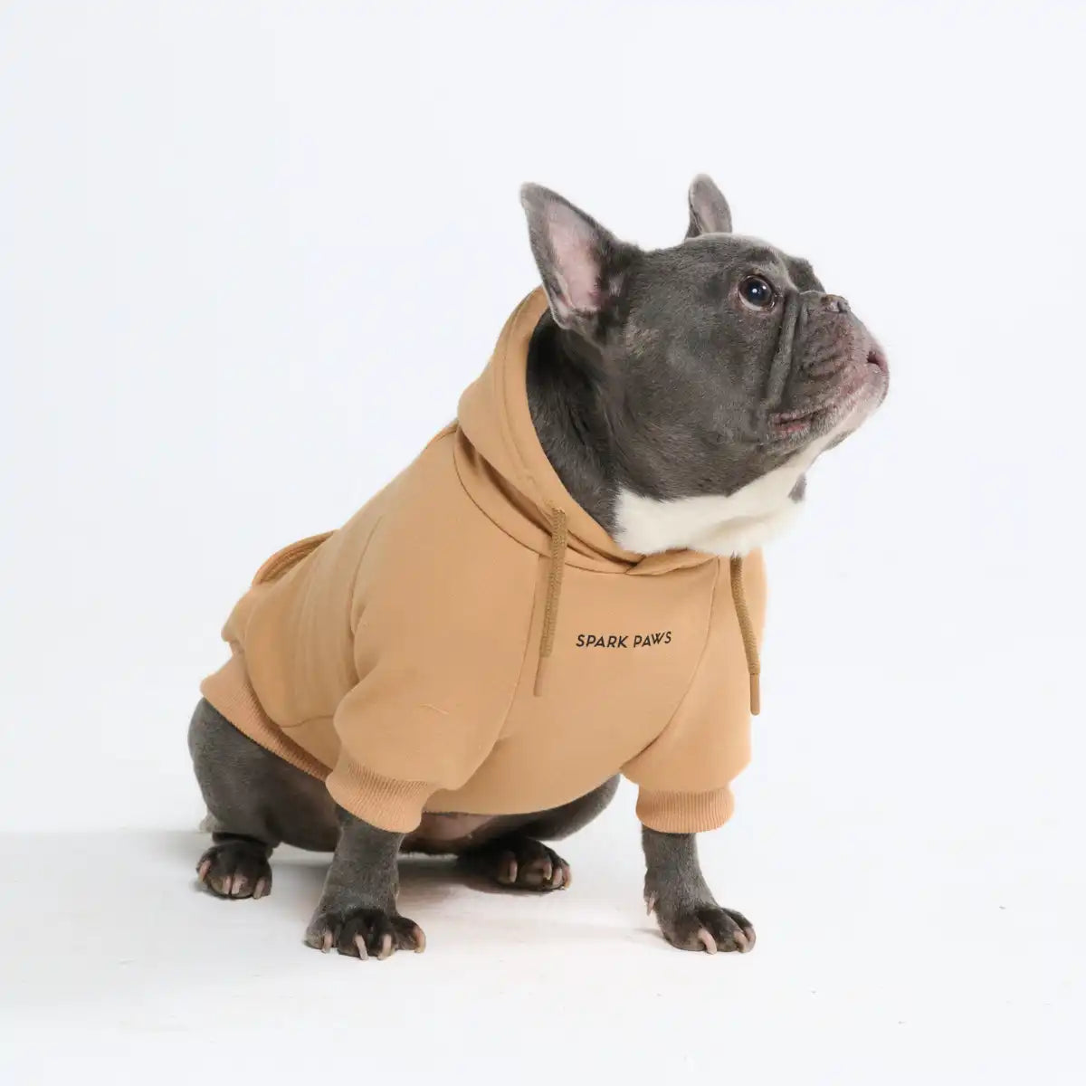 Essential Dog Hoodie - Caramel