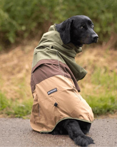 Dog Apparel