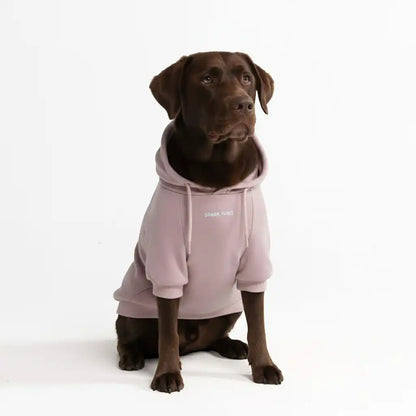 Essential Dog Hoodies