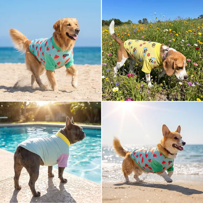 Sunblock Dog T-Shirt (3-pack) - Breeze, Bees, Watermelon