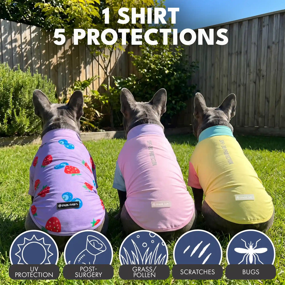 Sunblock Dog T-Shirt (3-pack) - Gelato, Yuzu, Berries
