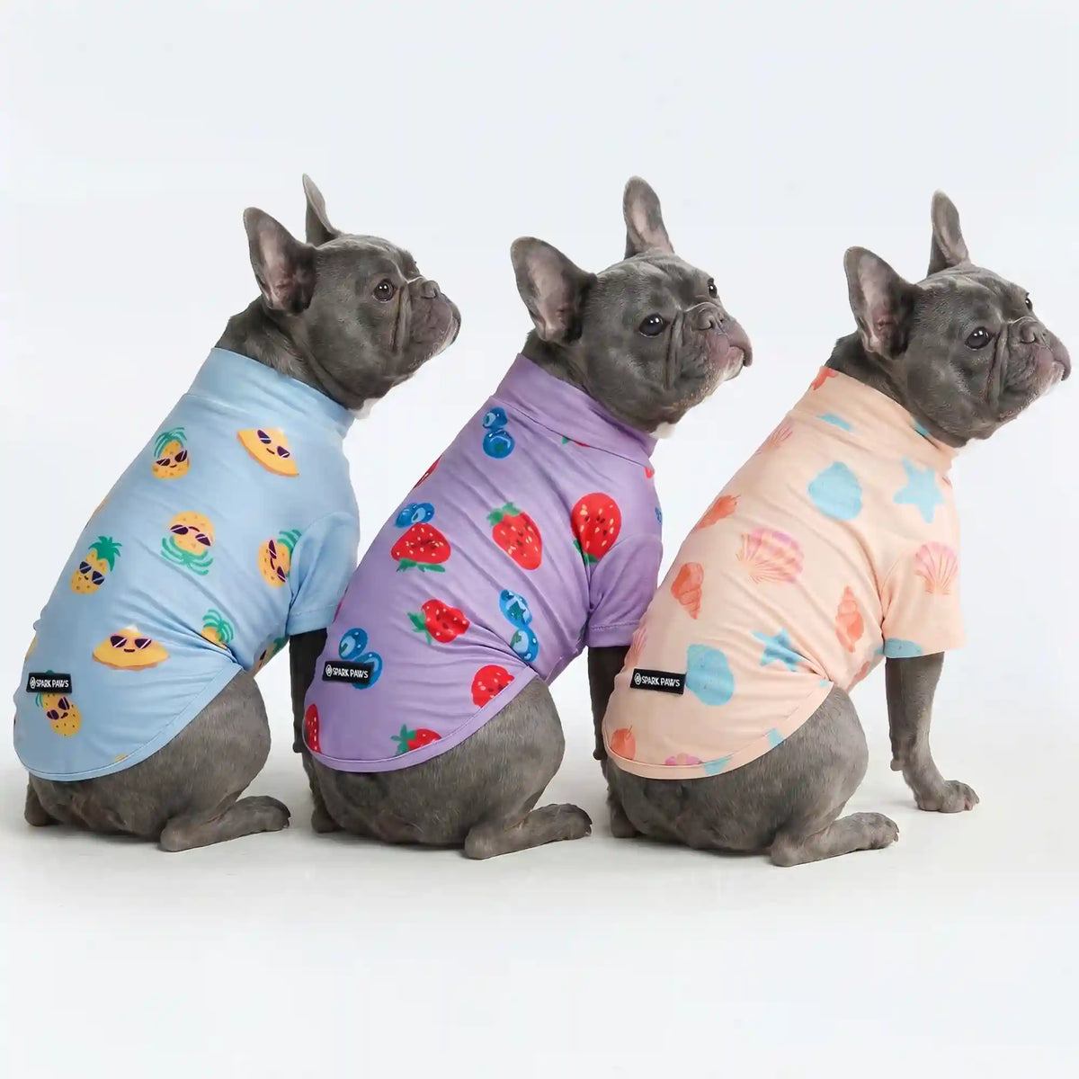 Sunblock Dog T-Shirt (3-pack) - Seashell, Berries, Pineapple