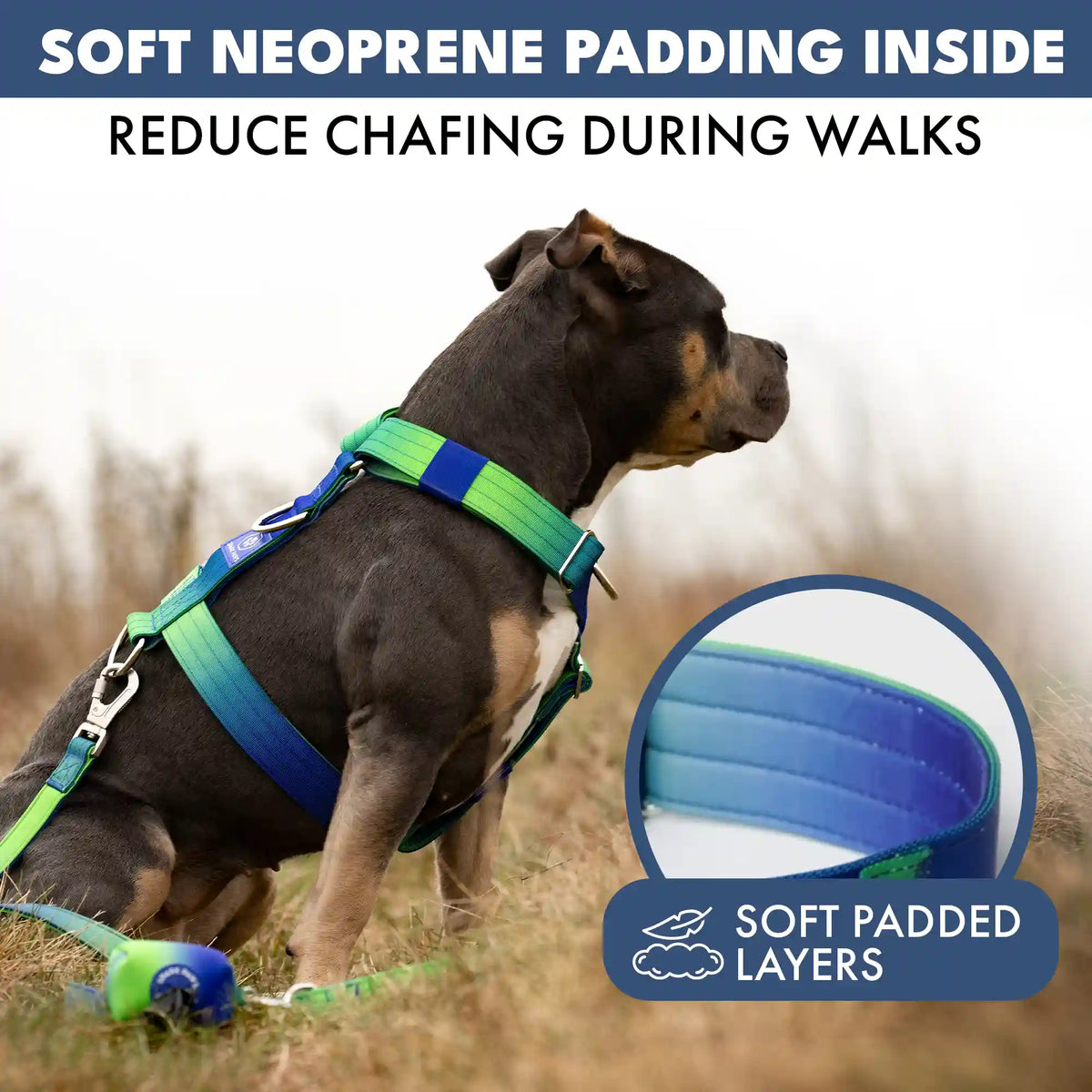 Comfort Control No-Pull Dog Harness Set - Lime Wave