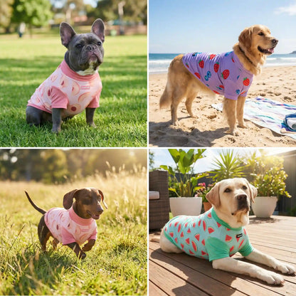 Sunblock Dog T-Shirt (3-pack) - Watermelon, Berries, Peaches