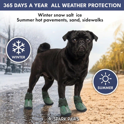 365 All-Season Dog Shoe 4PC Set - Green