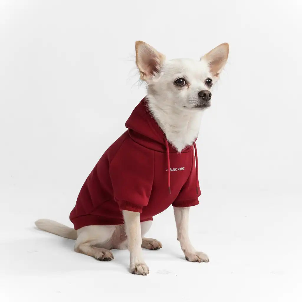 Essential Dog Hoodies