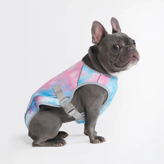Chilltech™ Dog Cooling Vests