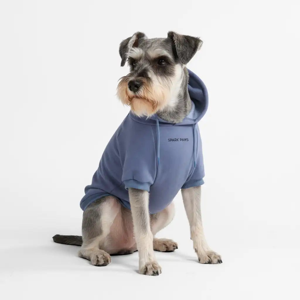 Essential Dog Hoodies