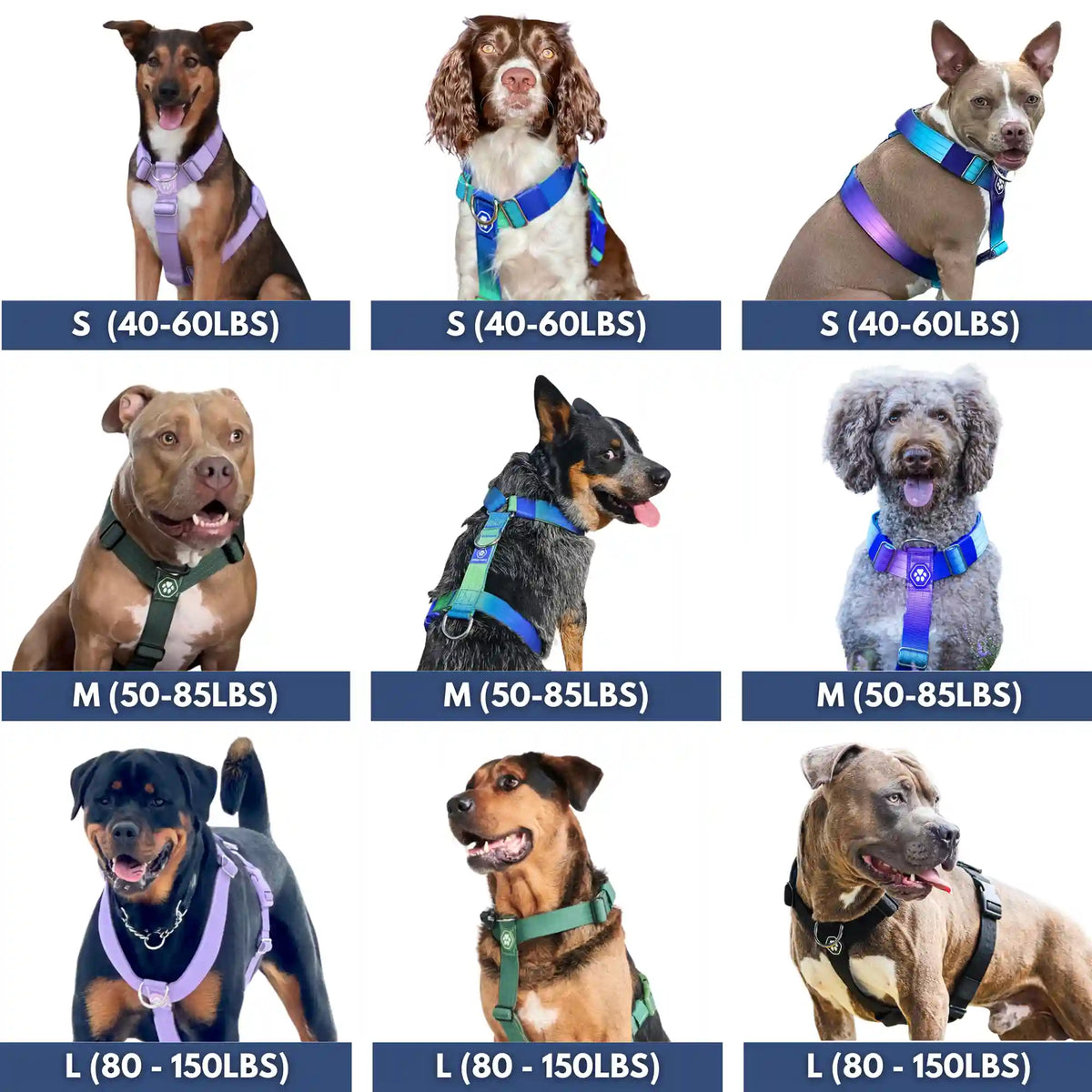 Comfort Control No-Pull Dog Harness - Lime Wave