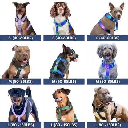 Comfort Control No-Pull Dog Harness - Lime Wave