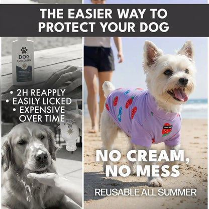 Sunblock Dog T-Shirt (3-pack) - Gelato, Yuzu, Berries