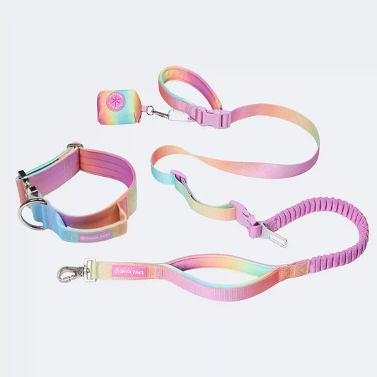 Comfort Control Collar and Multipurpose Leash Sets