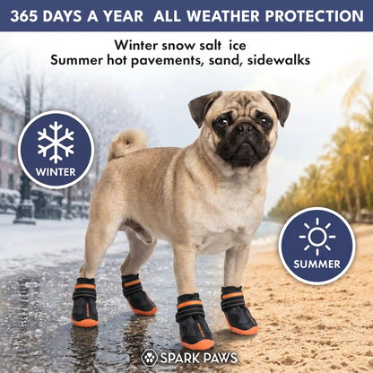 365 All-Season Dog Shoe 4PC Set - Black Orange