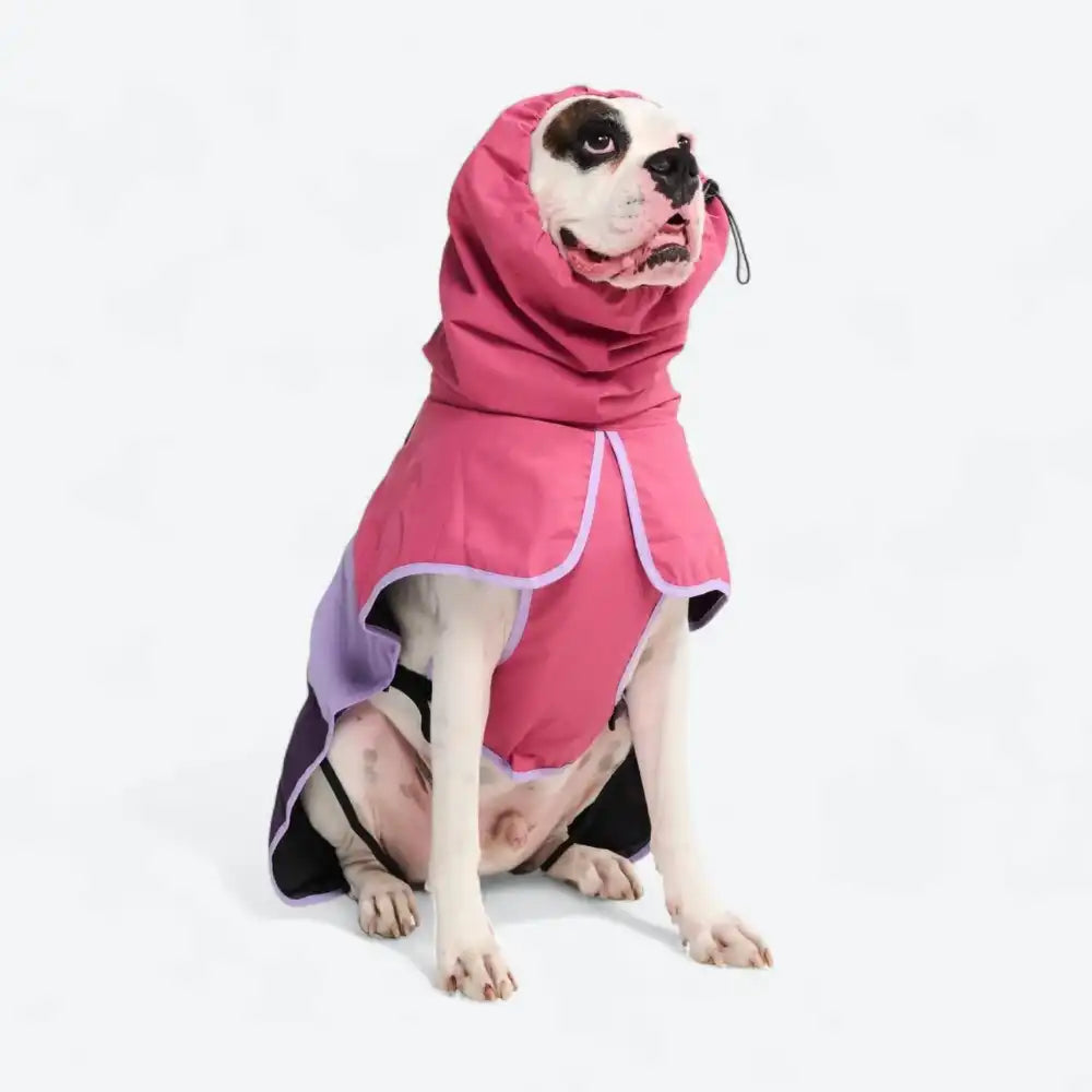 Breatheshield™ Dog Raincoat - Pink Lilac Purple