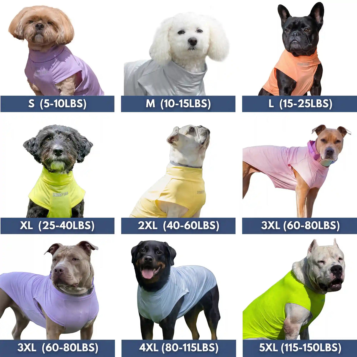 Sunblock Dog T-Shirt (3-pack) - Seashell, Berries, Pineapple