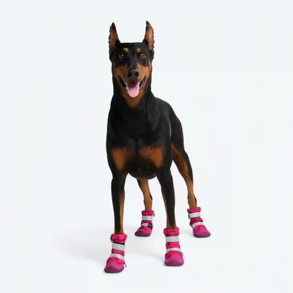 Dog Rainboots, Waterproof Dog Shoes