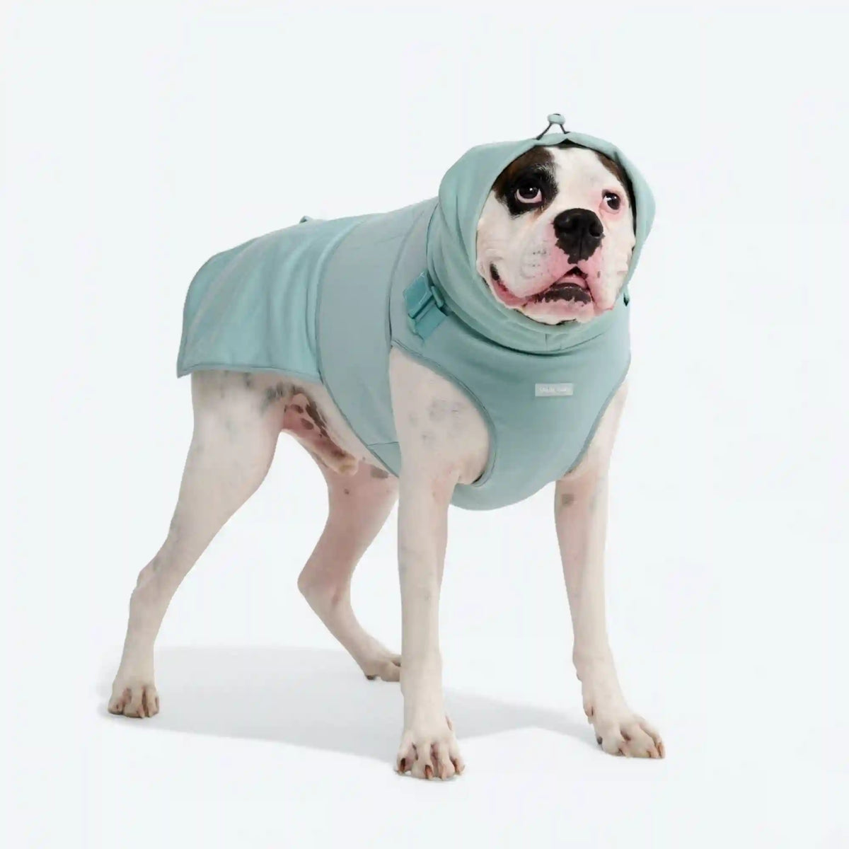 Anxiety Calming Suit - Teal