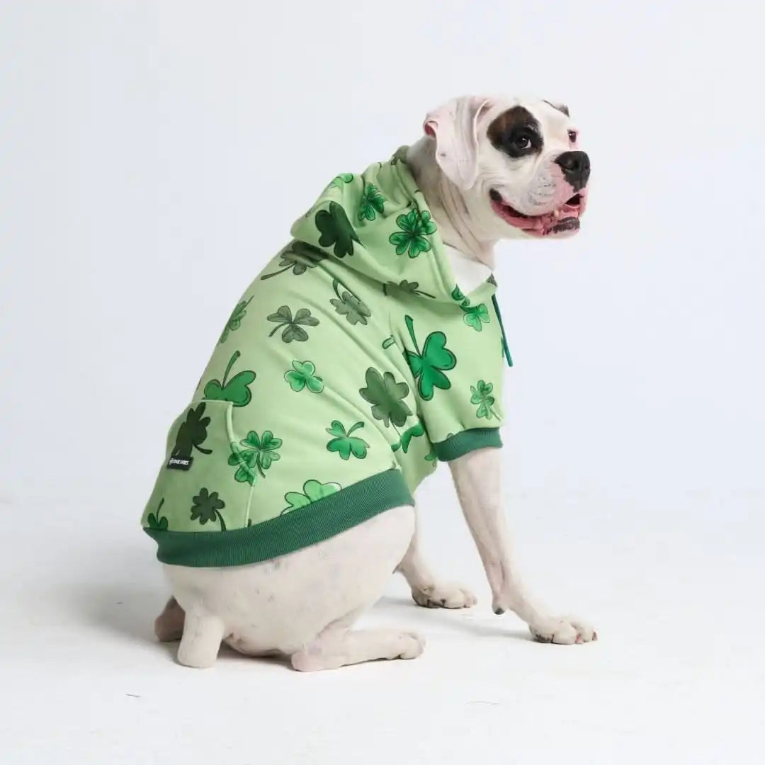 St. Paddy's Human Hoodies (Limited Edition)