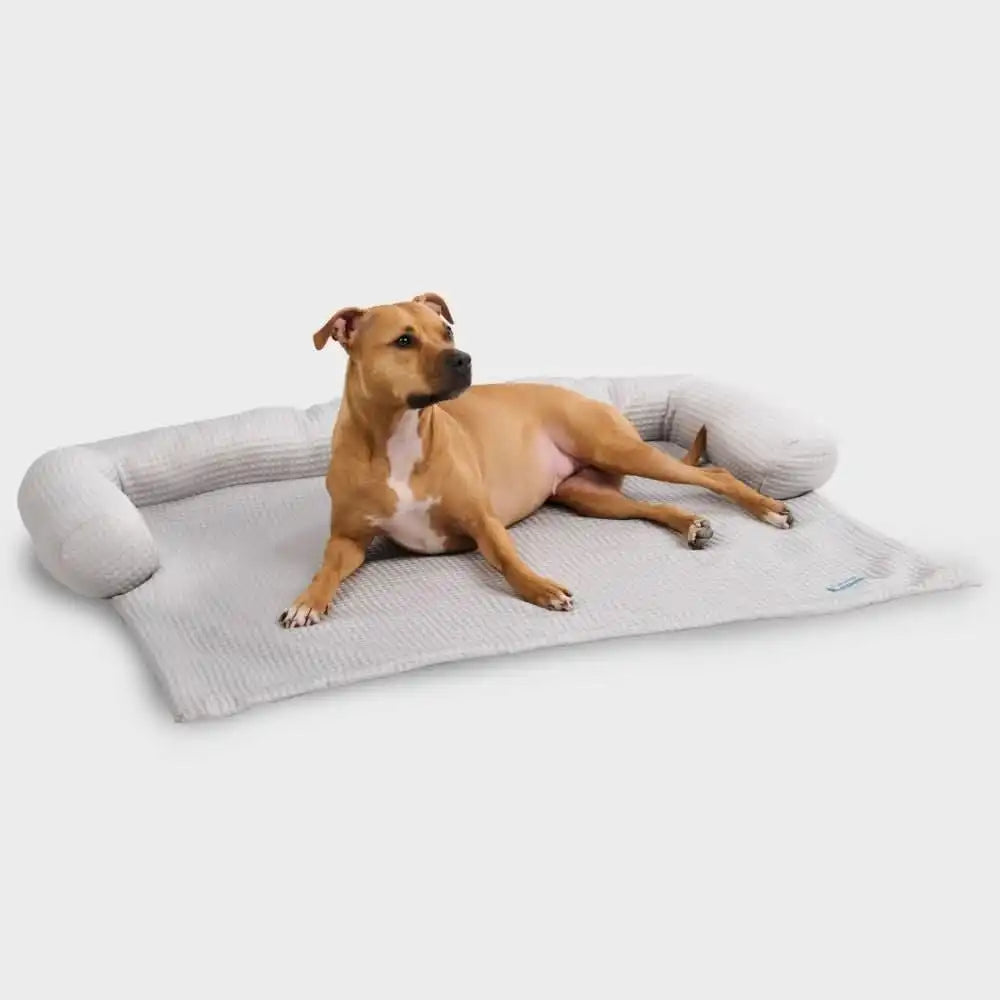 Frostcore™ Cooling Couch Cover Dog Bed