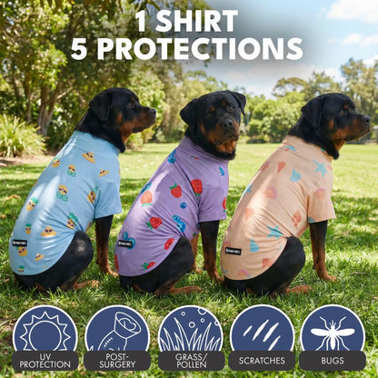 Sunblock Dog T-Shirt (3-pack) - Seashell, Berries, Pineapple