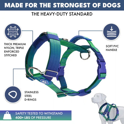 Comfort Control No-Pull Dog Harness Set - Lime Wave