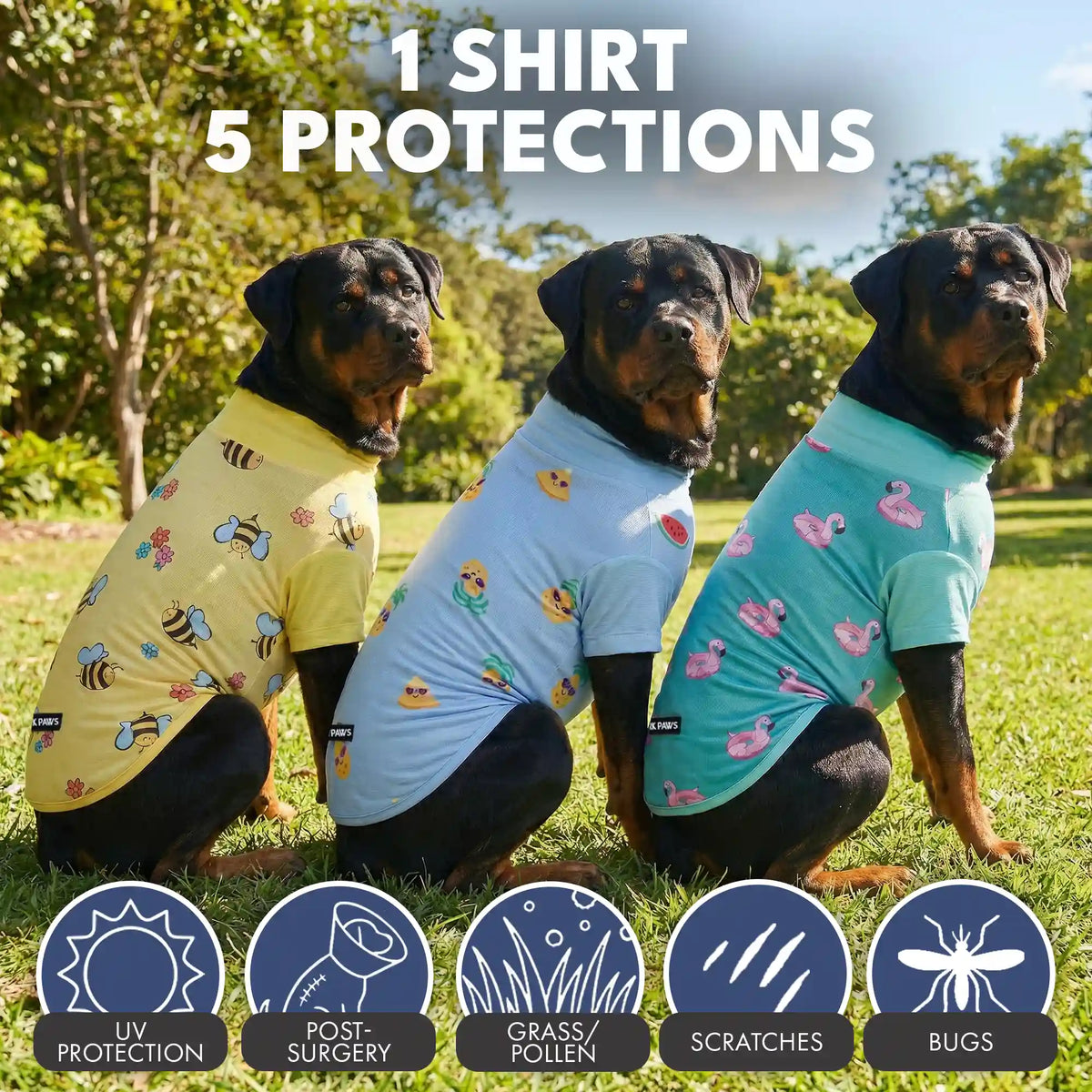 Sunblock Dog T-Shirt (3-pack) - Bees, Flamingo, Pineapple