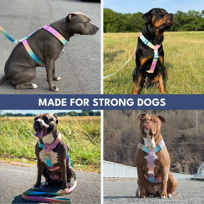 Comfort Control No-Pull Harness Sets