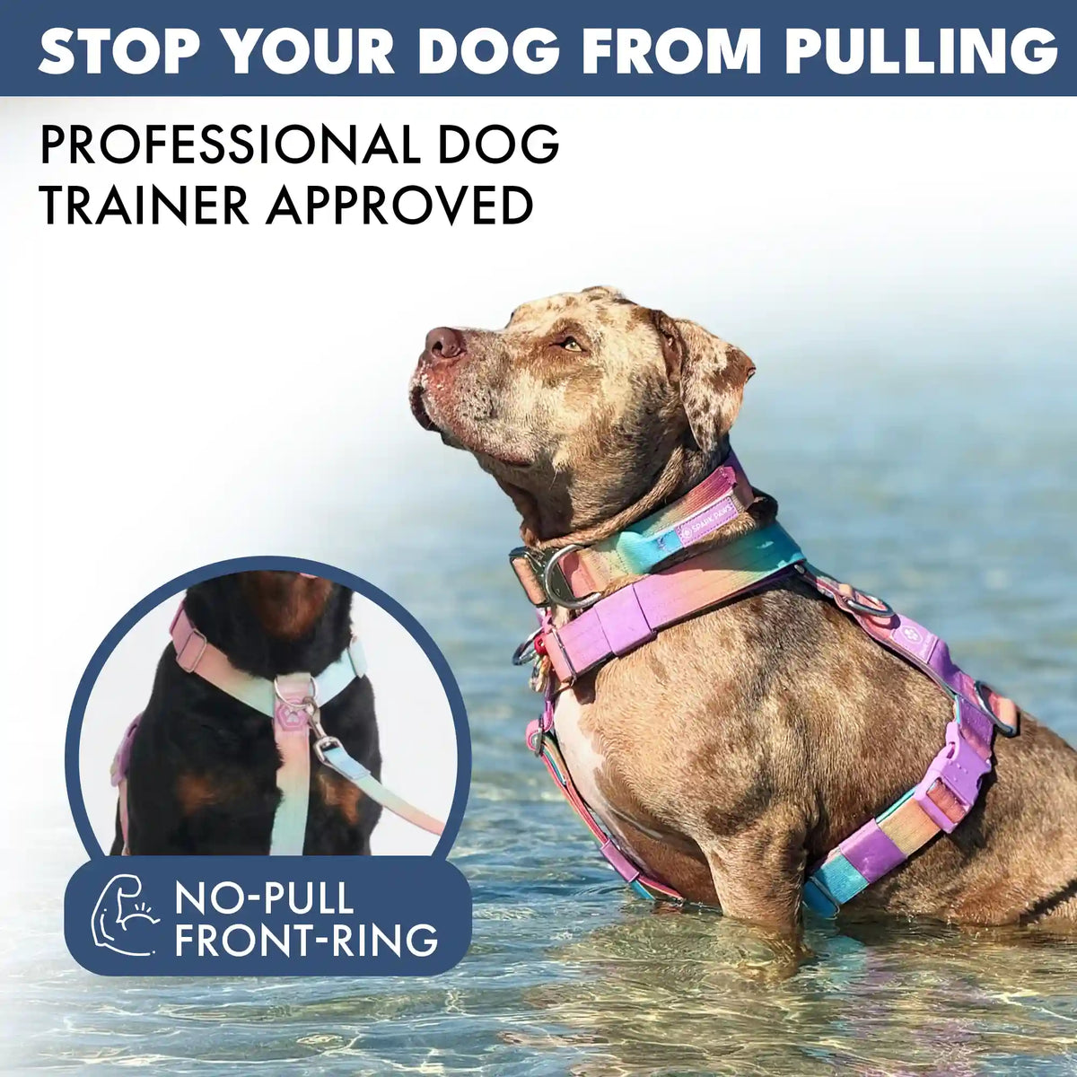 Comfort Control No-Pull Harness Sets