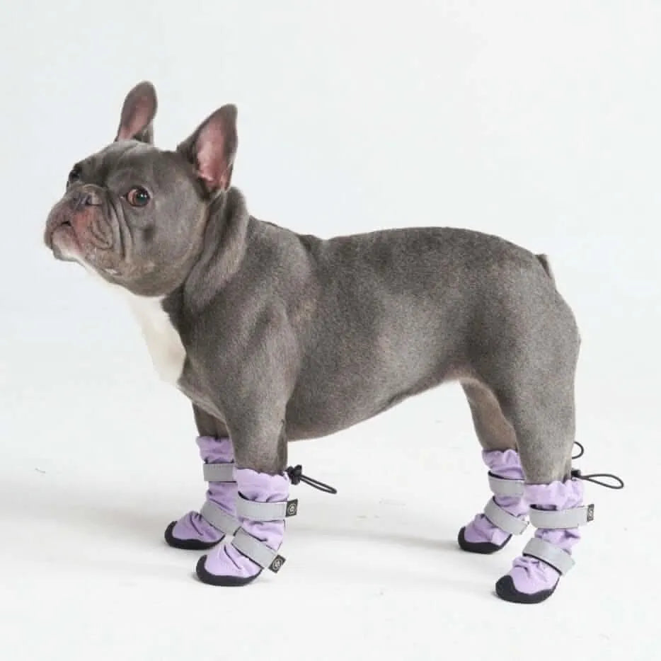 Dog Rainboots, Waterproof Dog Shoes