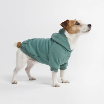Essential Dog Hoodies