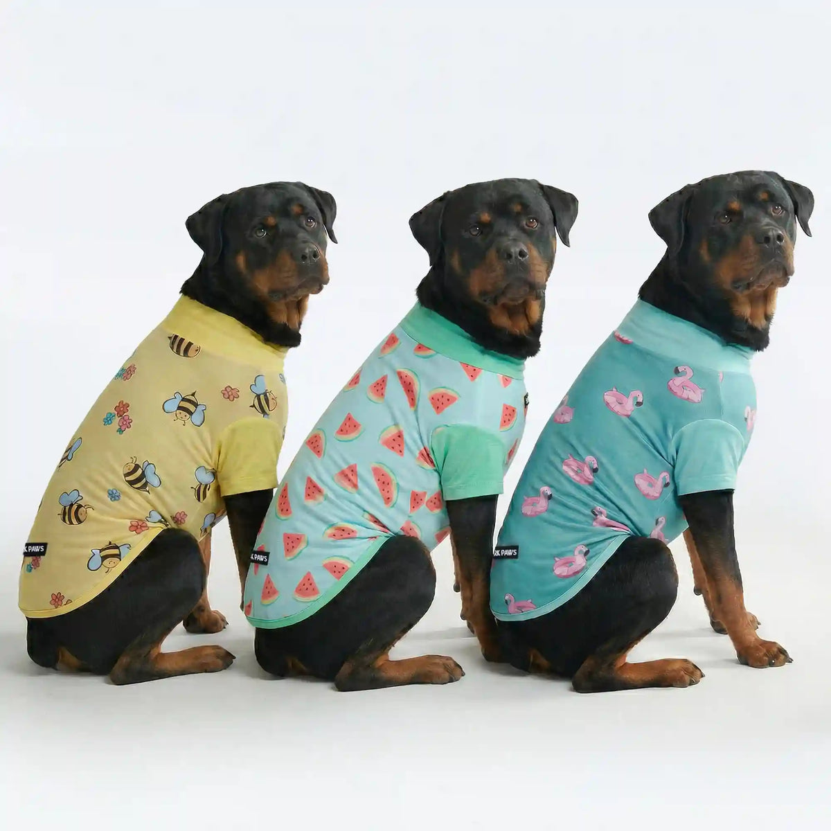 Sunblock Dog T-Shirt (3-pack) - Bees, Flamingo, Watermelon