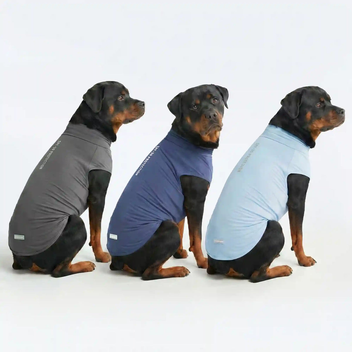 Sunblock Dog T-Shirt (3-pack) - Navy Blue, Dark Grey, Blue