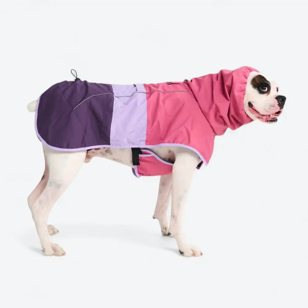 Breatheshield™ Dog Raincoat - Pink Lilac Purple
